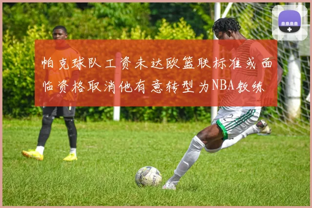 帕克球队工资未达欧篮联标准或面临资格取消他有意转型为NBA教练